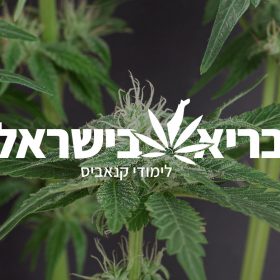 קורס קנאביס רפואי של בריא בישראל